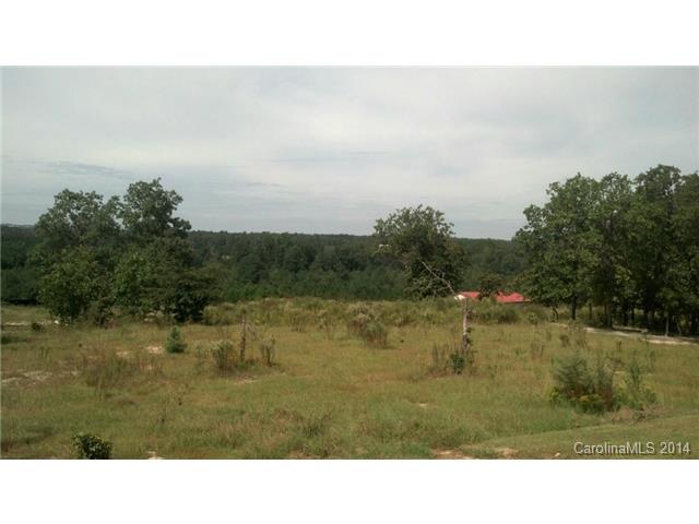 306 Wagon Wheel Ln, Ruby, SC 29741 photo 6