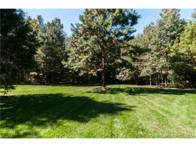 506 Streamside Ln, Waxhaw, NC 28173 photo 15