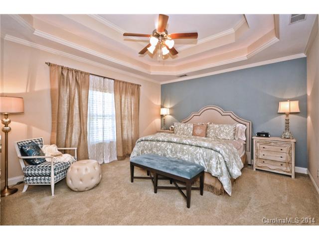 362 Arrow Point Ln, Davidson, NC 28036 photo 13