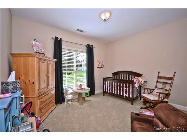 362 Arrow Point Ln, Davidson, NC 28036 photo 15