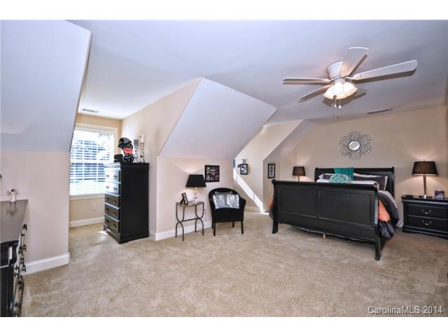 362 Arrow Point Ln, Davidson, NC 28036 photo 19