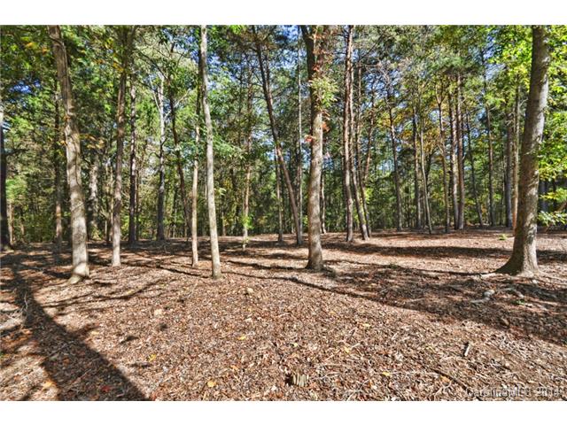 362 Arrow Point Ln, Davidson, NC 28036 photo 23