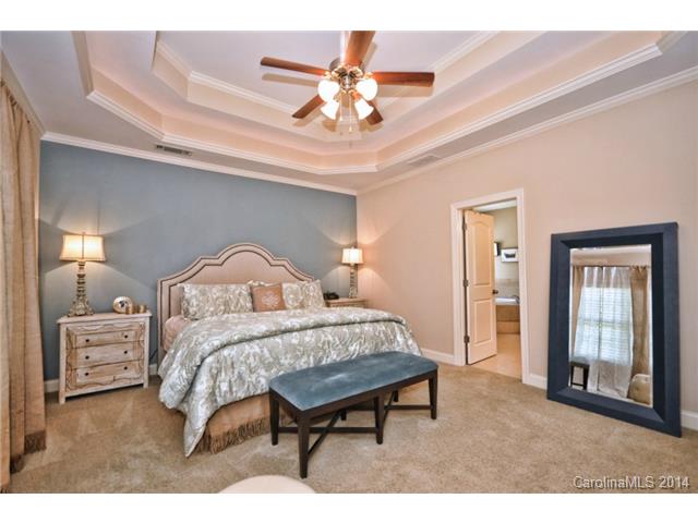362 Arrow Point Ln, Davidson, NC 28036 photo 12
