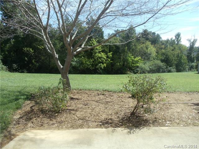 2405 Paperbark Dr, Monroe, NC 28110 photo 23
