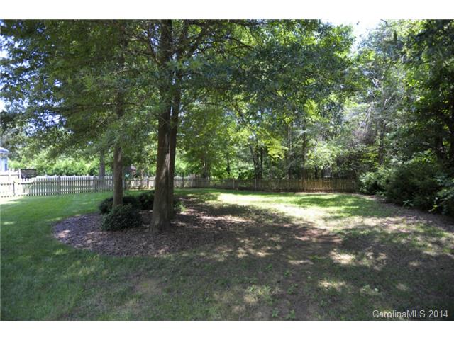 20408 Rutledge Bluff Way, Cornelius, NC 28031 photo 24