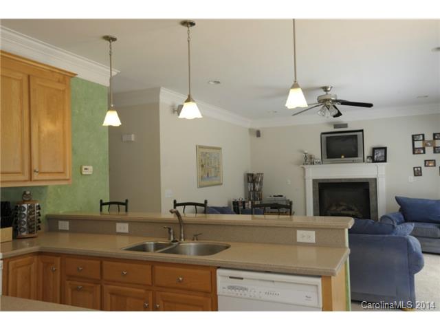 20408 Rutledge Bluff Way, Cornelius, NC 28031 photo 12