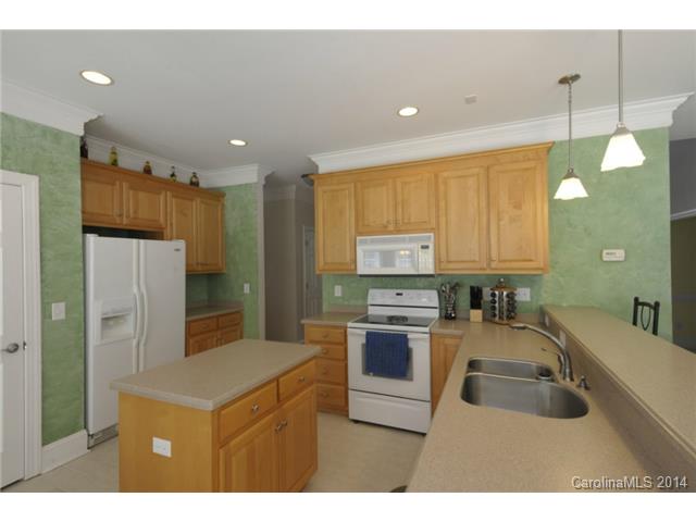 20408 Rutledge Bluff Way, Cornelius, NC 28031 photo 11