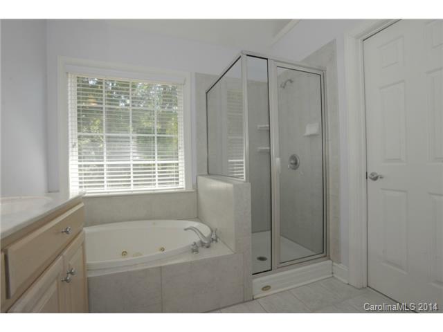 20408 Rutledge Bluff Way, Cornelius, NC 28031 photo 16
