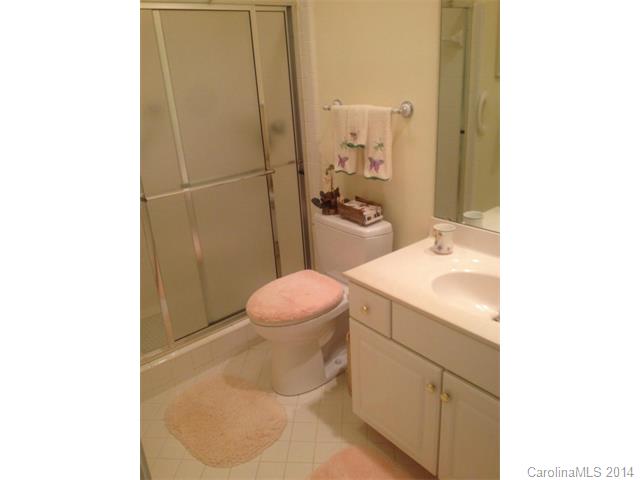 17811 Half Moon Ln #d, Cornelius, NC 28031 photo 9