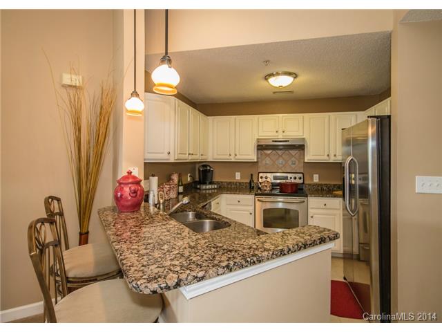 1311 Torrence 1311 Cir #1311, Davidson, NC 28036 photo 5