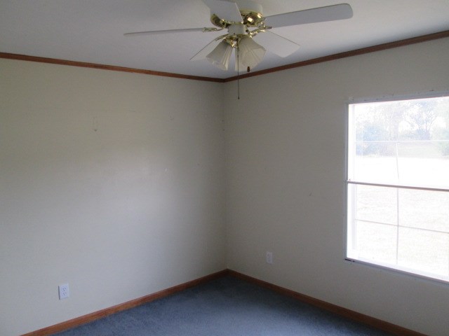 115 Greg Ln, Stony Point, NC 28678 photo 9
