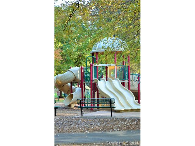 615 Beaty 615 St #615, Davidson, NC 28036 photo 21
