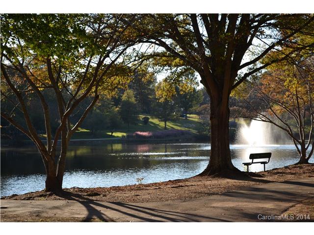 615 Beaty 615 St #615, Davidson, NC 28036 photo 22