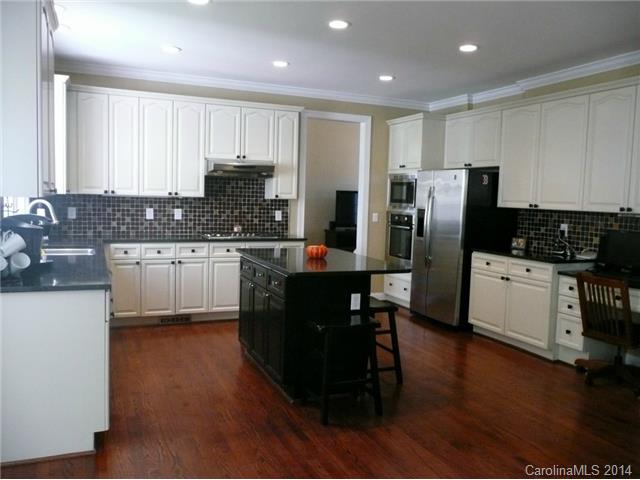 17031 Winged Thistle Ct, Davidson, NC 28036 photo 3