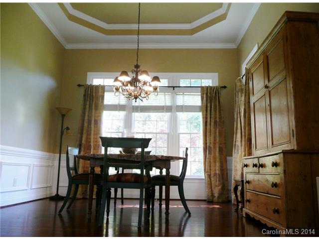 17031 Winged Thistle Ct, Davidson, NC 28036 photo 9