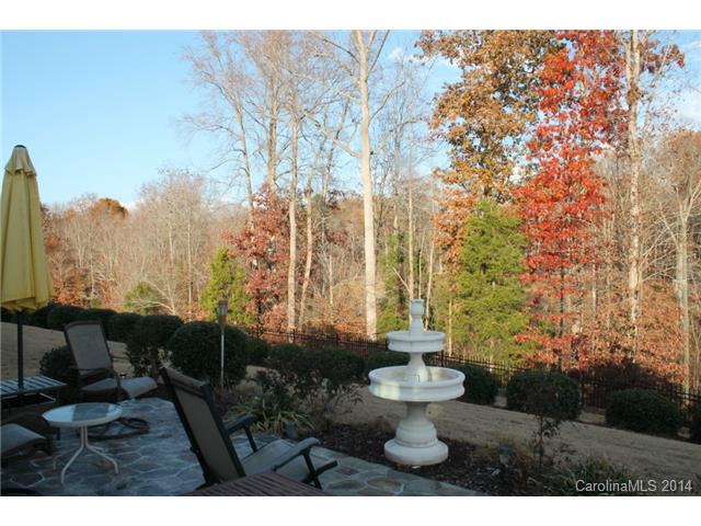22141 Tern Ct, Fort Mill, SC 29707 photo 24