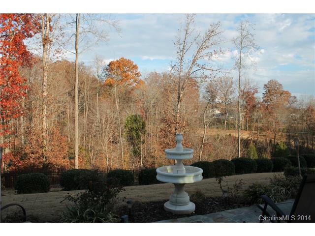 22141 Tern Ct, Fort Mill, SC 29707 photo 23