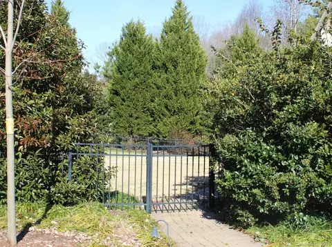 19329 River Crossing Blvd, Davidson, NC 28036 photo 16