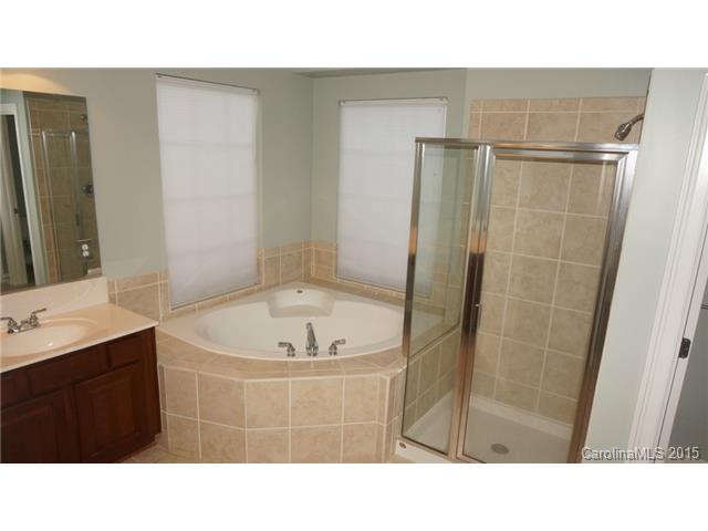261 Harper Lee St, Davidson, NC 28036 photo 16