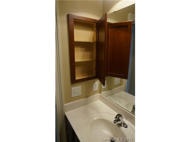 261 Harper Lee St, Davidson, NC 28036 photo 20