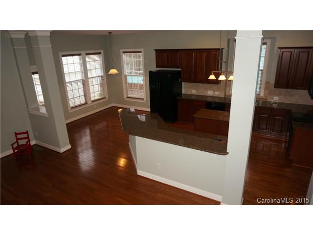 261 Harper Lee St, Davidson, NC 28036 photo 8
