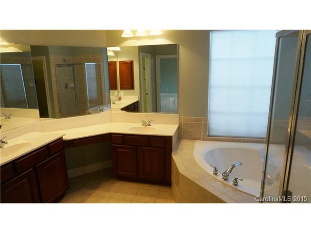 261 Harper Lee St, Davidson, NC 28036 photo 15