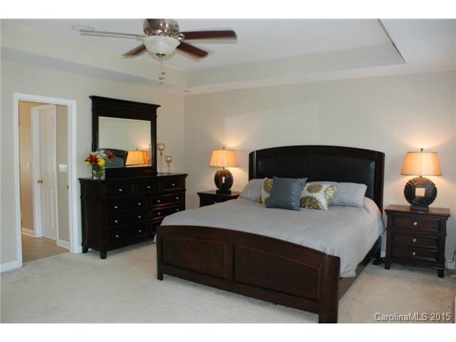 9630 Willow Leaf Ln, Cornelius, NC 28031 photo 14