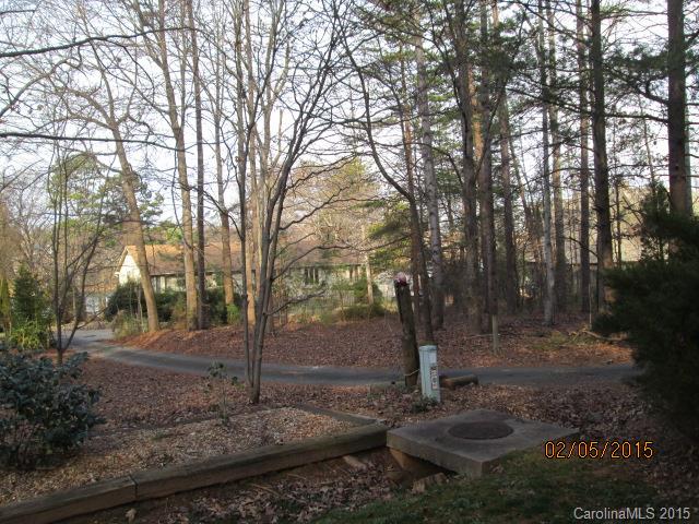 20434 Deep Cove Ct, Cornelius, NC 28031 photo 5