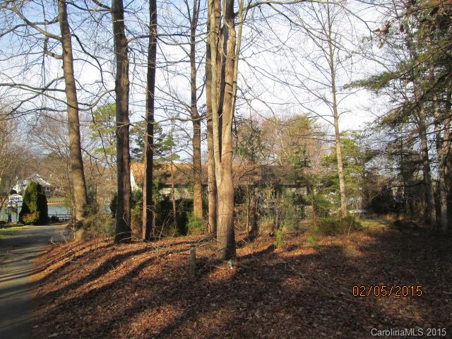 20434 Deep Cove Ct, Cornelius, NC 28031 photo 8