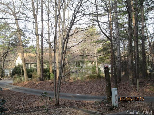 20434 Deep Cove Ct, Cornelius, NC 28031 photo 6