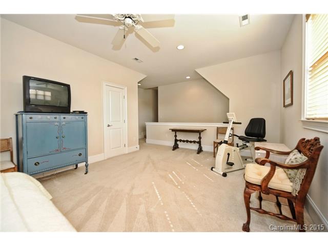 10200 Alabaster Dr, Davidson, NC 28036 photo 20