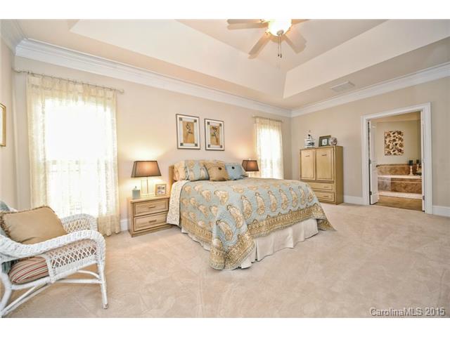 10200 Alabaster Dr, Davidson, NC 28036 photo 13