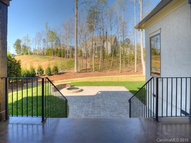 16811 Maddy Ln, Davidson, NC 28036 photo 20