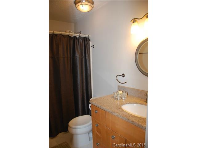 333 Jib Ct, Davidson, NC 28036 photo 14