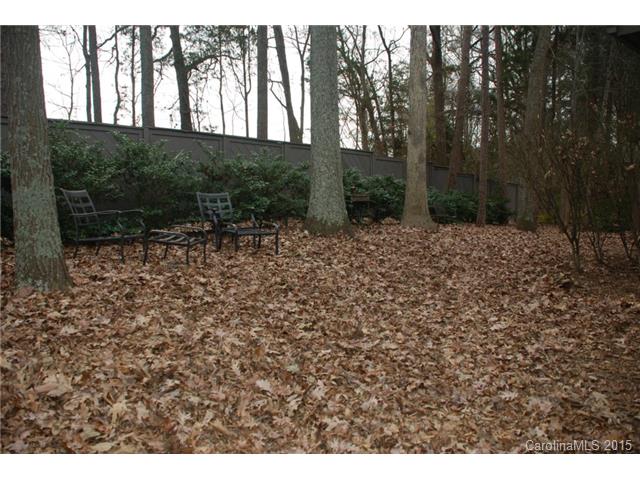 333 Jib Ct, Davidson, NC 28036 photo 22