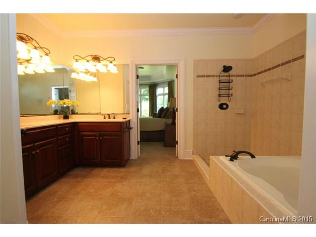 18925 River Falls Dr, Davidson, NC 28036 photo 8