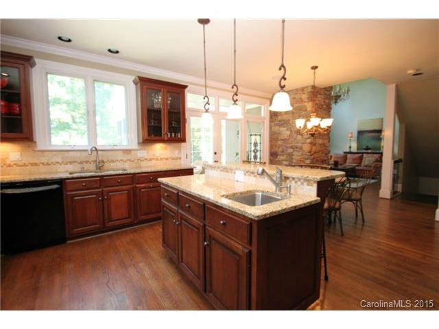 18925 River Falls Dr, Davidson, NC 28036 photo 4