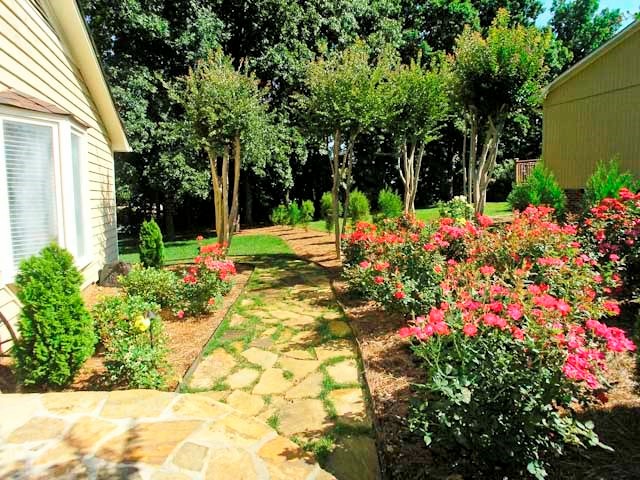 17201 Jetton Rd, Cornelius, NC 28031 photo 3