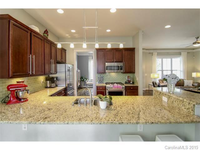 111 Lilac Mist Loop, Mooresville, NC 28115 photo 8