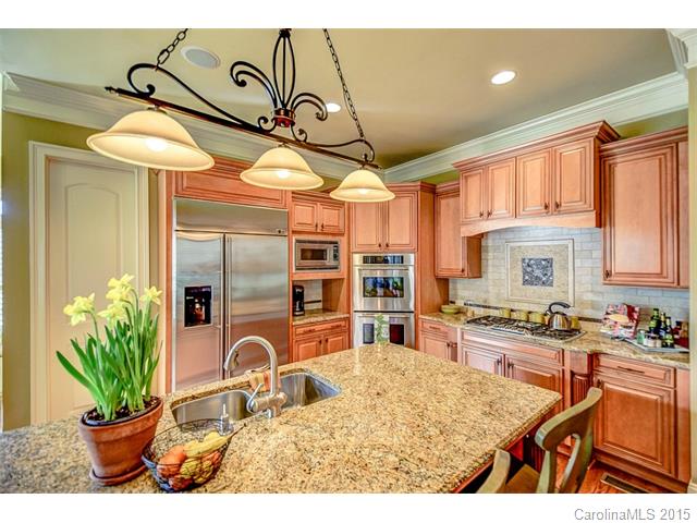 18202 Old Arbor Ct, Davidson, NC 28036 photo 13