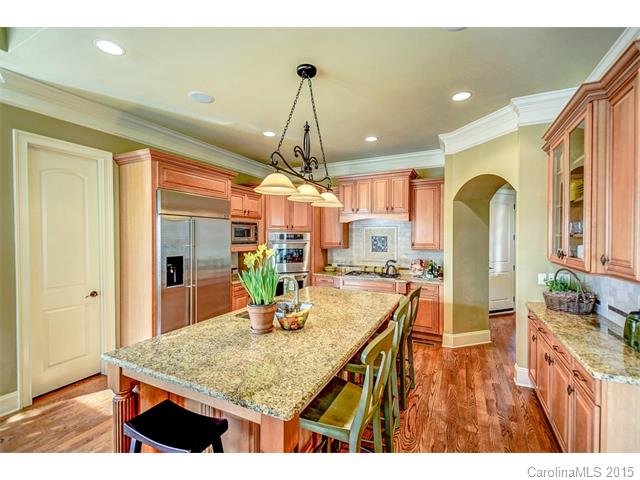 18202 Old Arbor Ct, Davidson, NC 28036 photo 11