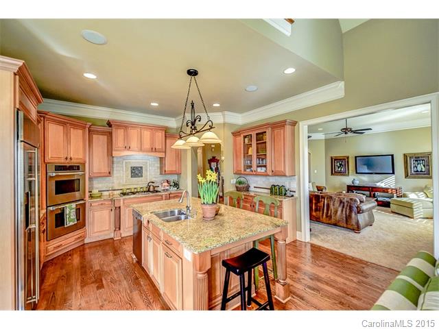 18202 Old Arbor Ct, Davidson, NC 28036 photo 12