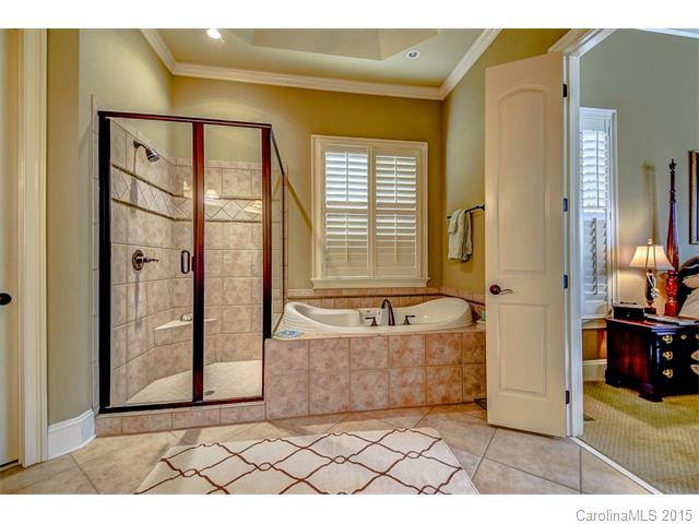 18202 Old Arbor Ct, Davidson, NC 28036 photo 19