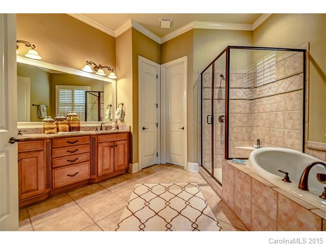 18202 Old Arbor Ct, Davidson, NC 28036 photo 18