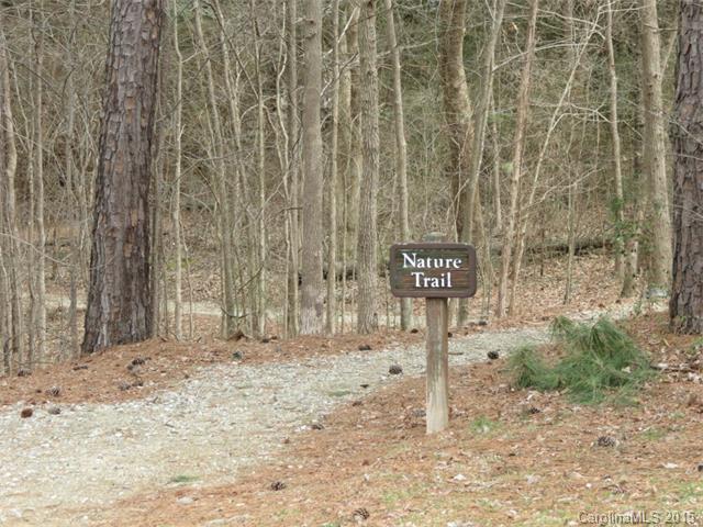 18512 Hammock Ln, Davidson, NC 28036 photo 6