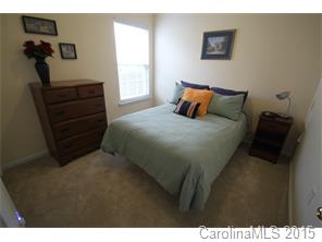 7004 Blithe Low Pl, Charlotte, NC 28273 photo 9