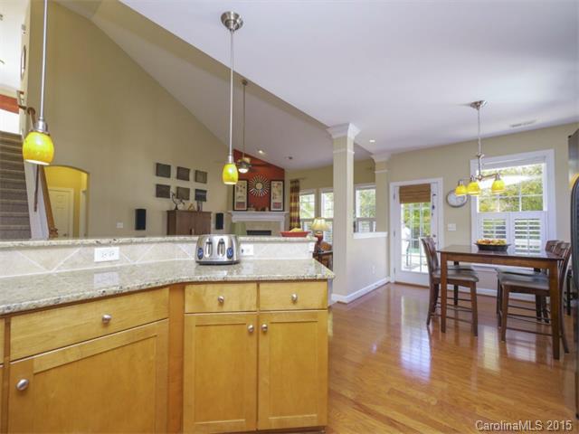 17539 Harbor Walk Dr, Cornelius, NC 28031 photo 8