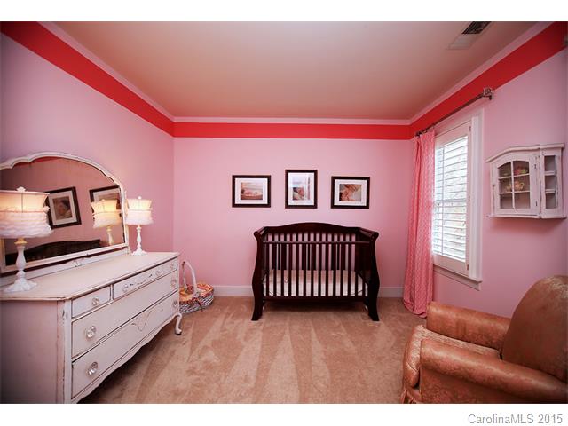 504 Ashby Dr, Davidson, NC 28036 photo 17