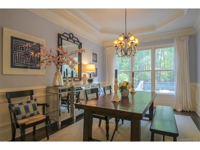 13515 Robert Walker Dr, Davidson, NC 28036 photo 7