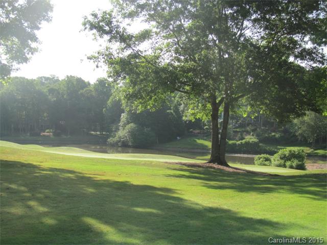 18800 Riverwind Ln, Davidson, NC 28036 photo 3